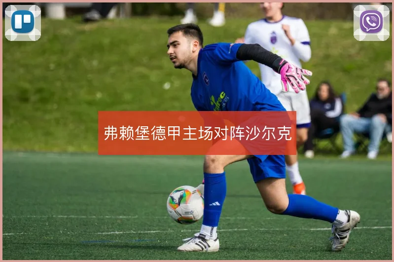 弗赖堡德甲主场对阵沙尔克