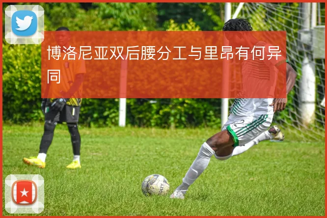 博洛尼亚双后腰分工与里昂有何异同