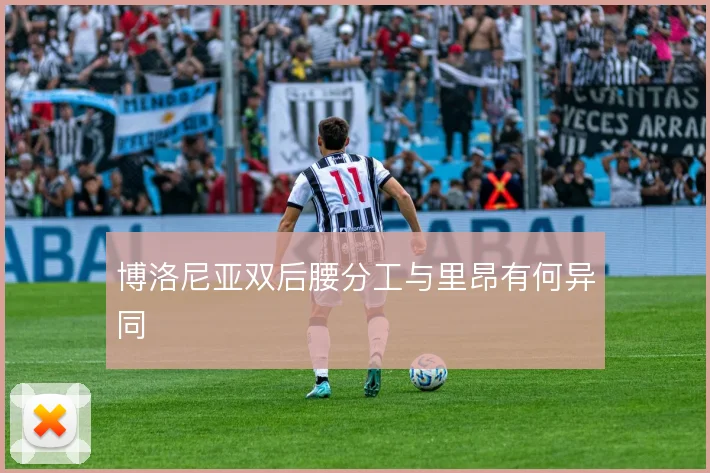 博洛尼亚双后腰分工与里昂有何异同